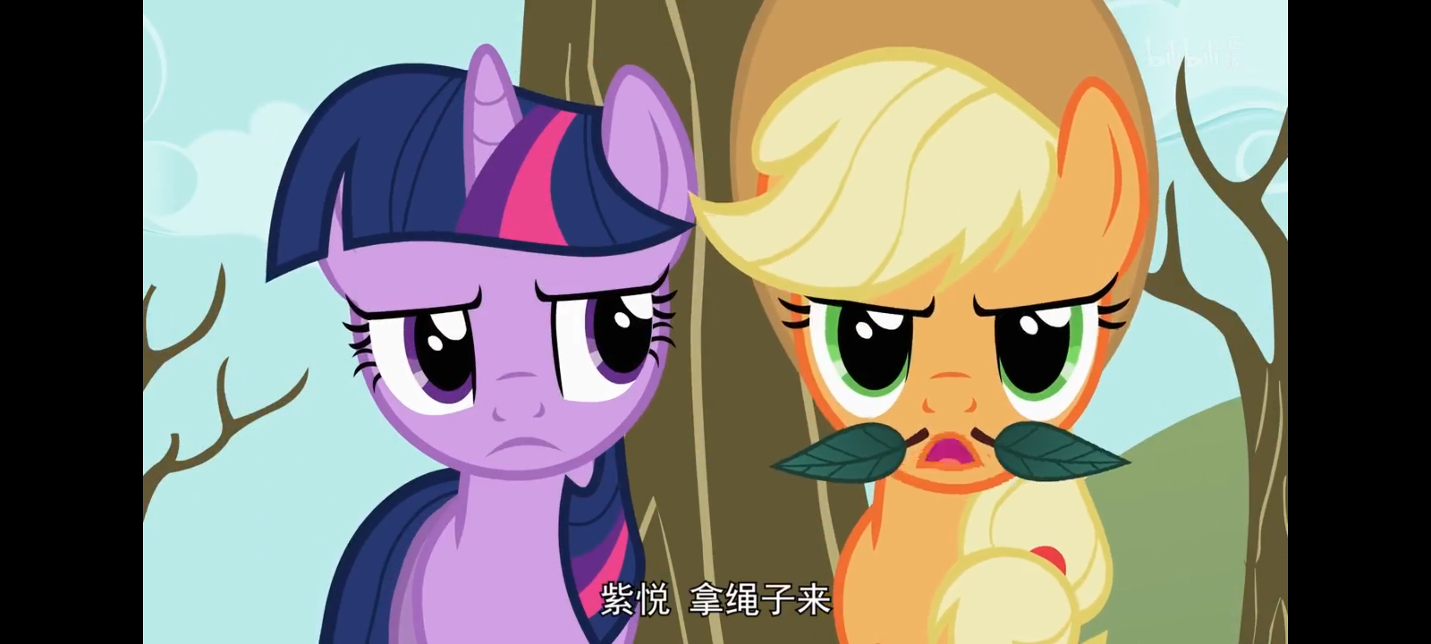 小马宝莉,彩虹小马,我的小马驹,动画,动漫,番剧,二次元,ACG