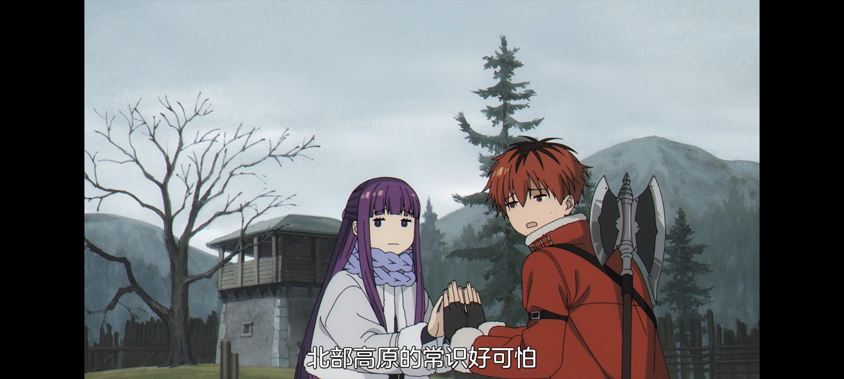 葬送的芙莉莲,动画,动漫,番剧,二次元,ACG