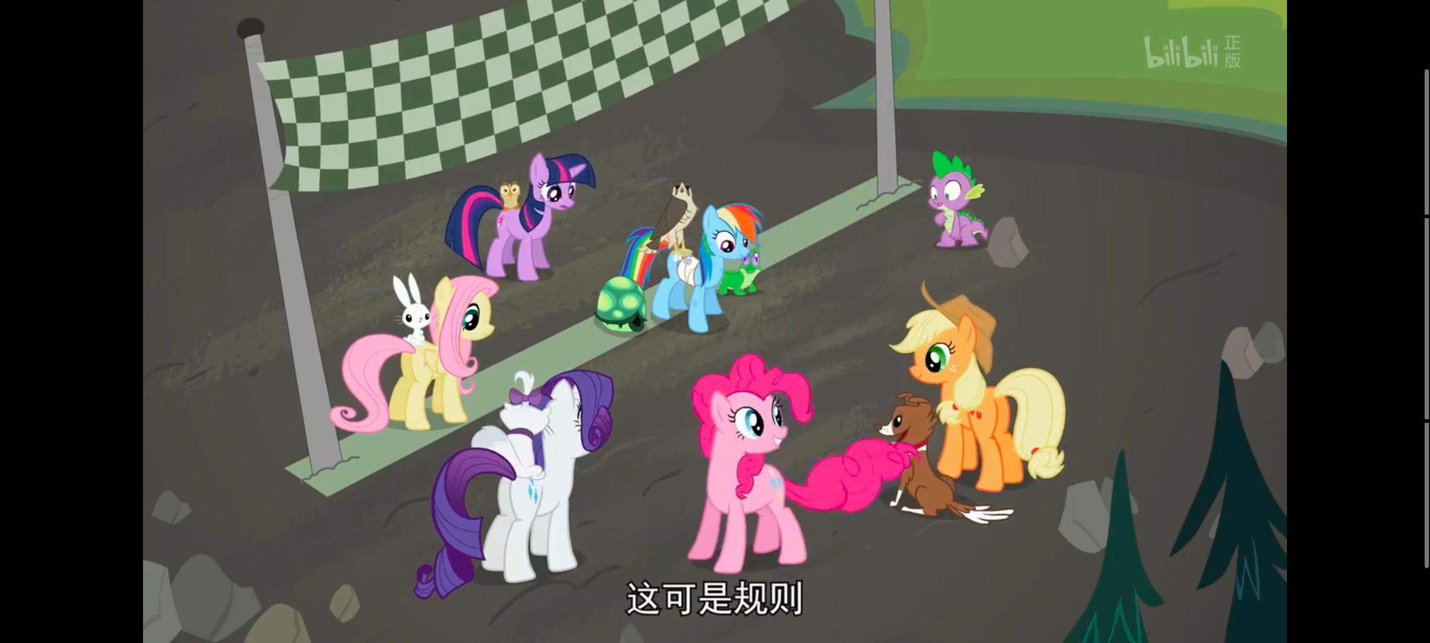 小马宝莉,彩虹小马,我的小马驹,动画,动漫,番剧,二次元,ACG