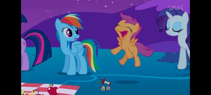 小马宝莉,彩虹小马,我的小马驹,动画,动漫,番剧,ACG,小马宝莉友谊魔法