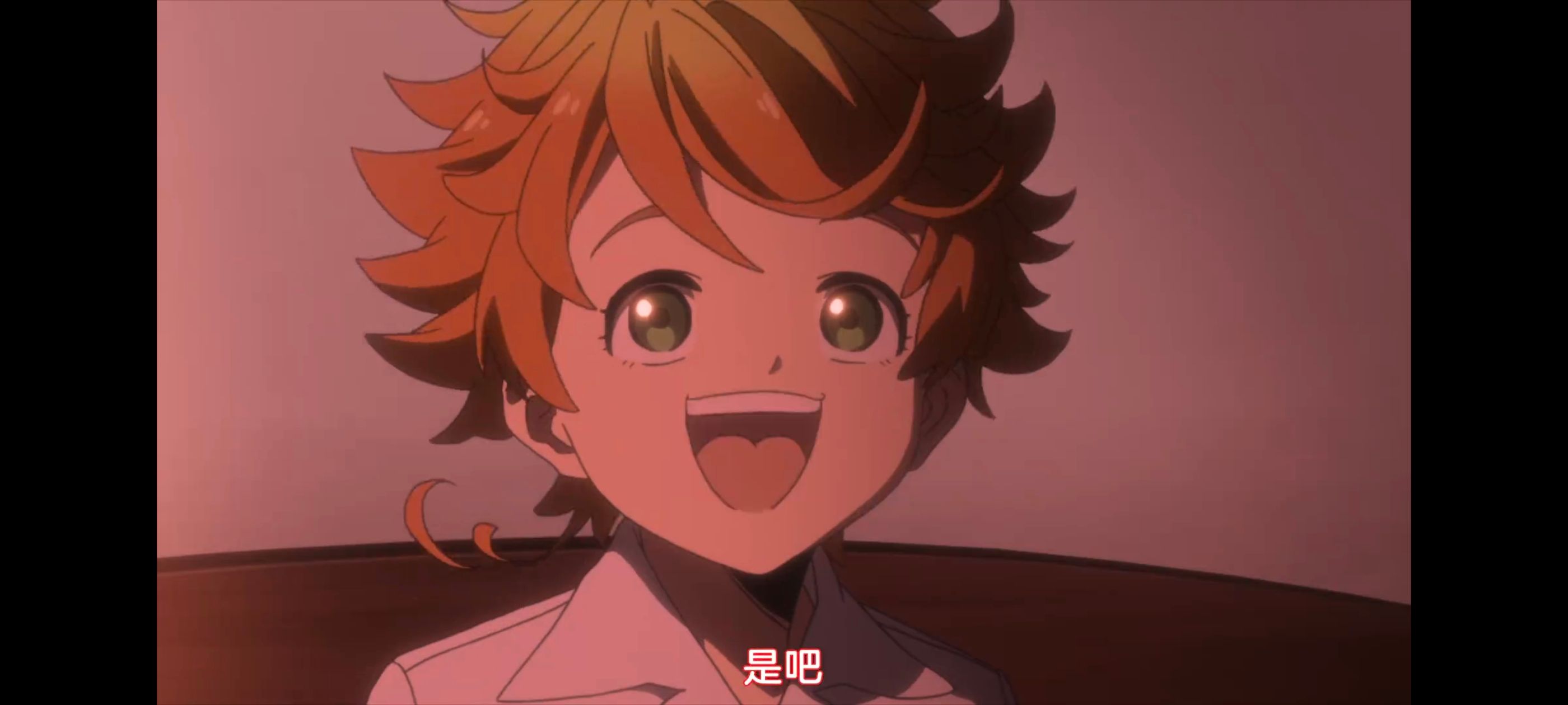 约定的梦幻岛,动画,动漫,番剧,二次元,ACG