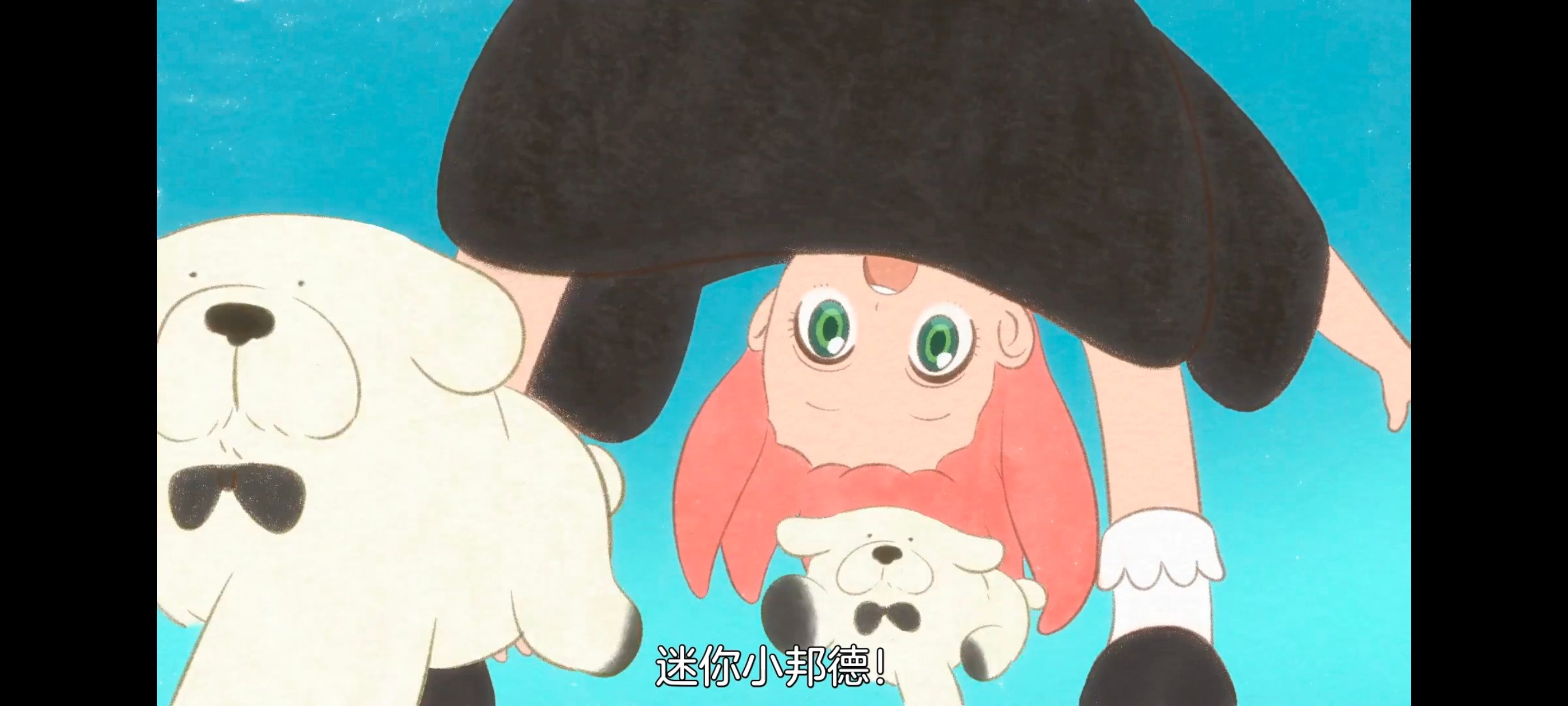 间谍过家家,SPYFAMILY,动画,动漫,番剧,ACG