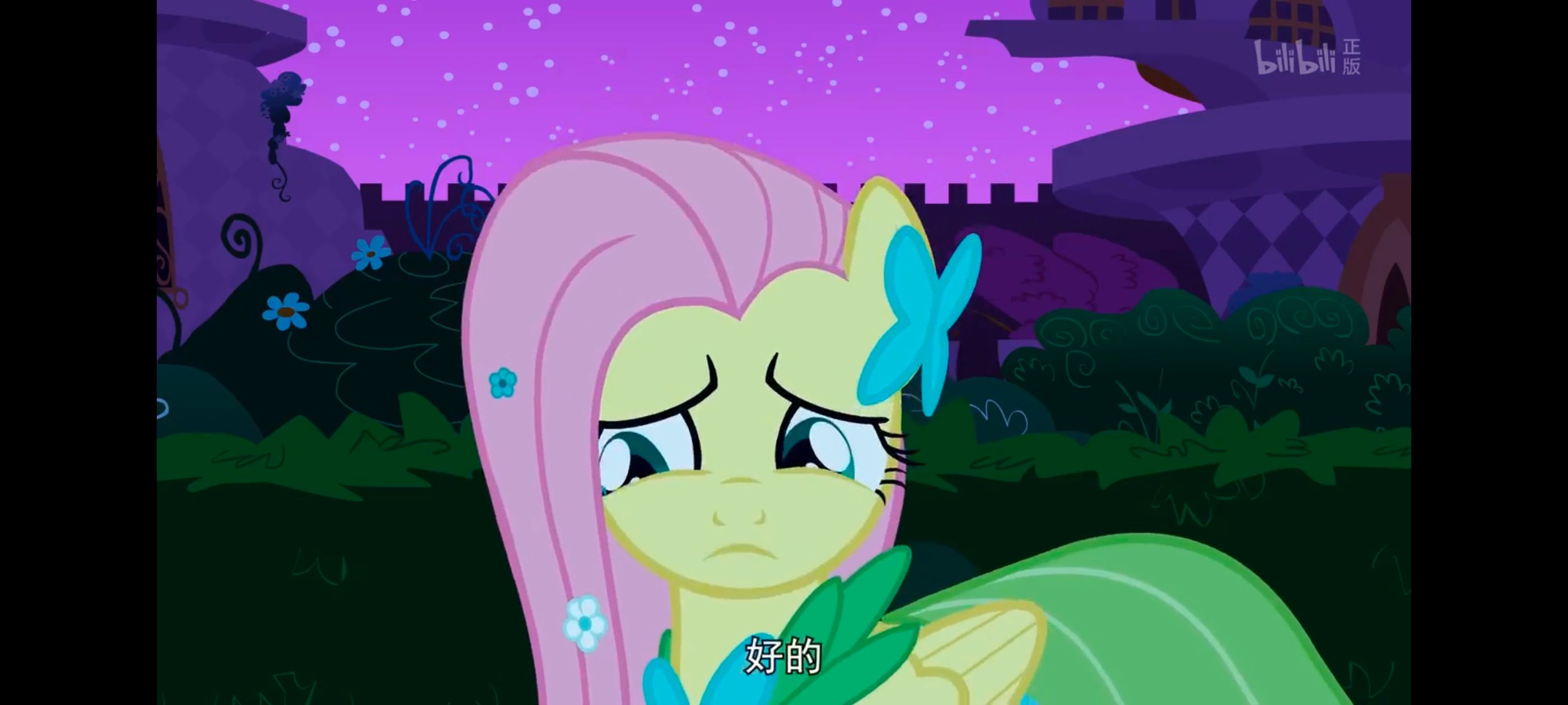 小马宝莉,小马宝莉友谊魔法,彩虹小马,我的小马驹,动画,动漫,番剧,ACG