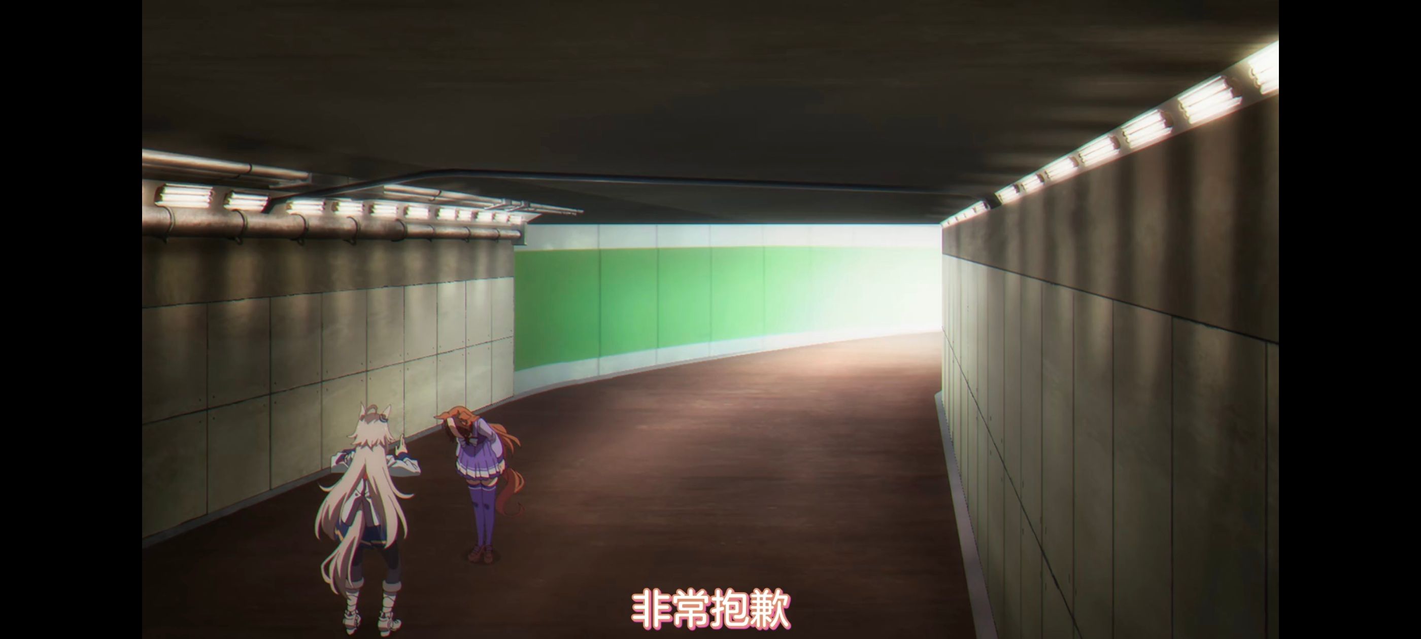 赛马娘,赛马娘PrettyDreby,赛马娘芦毛灰姑娘,芦毛灰姑娘,动画,动漫,番剧,ACG