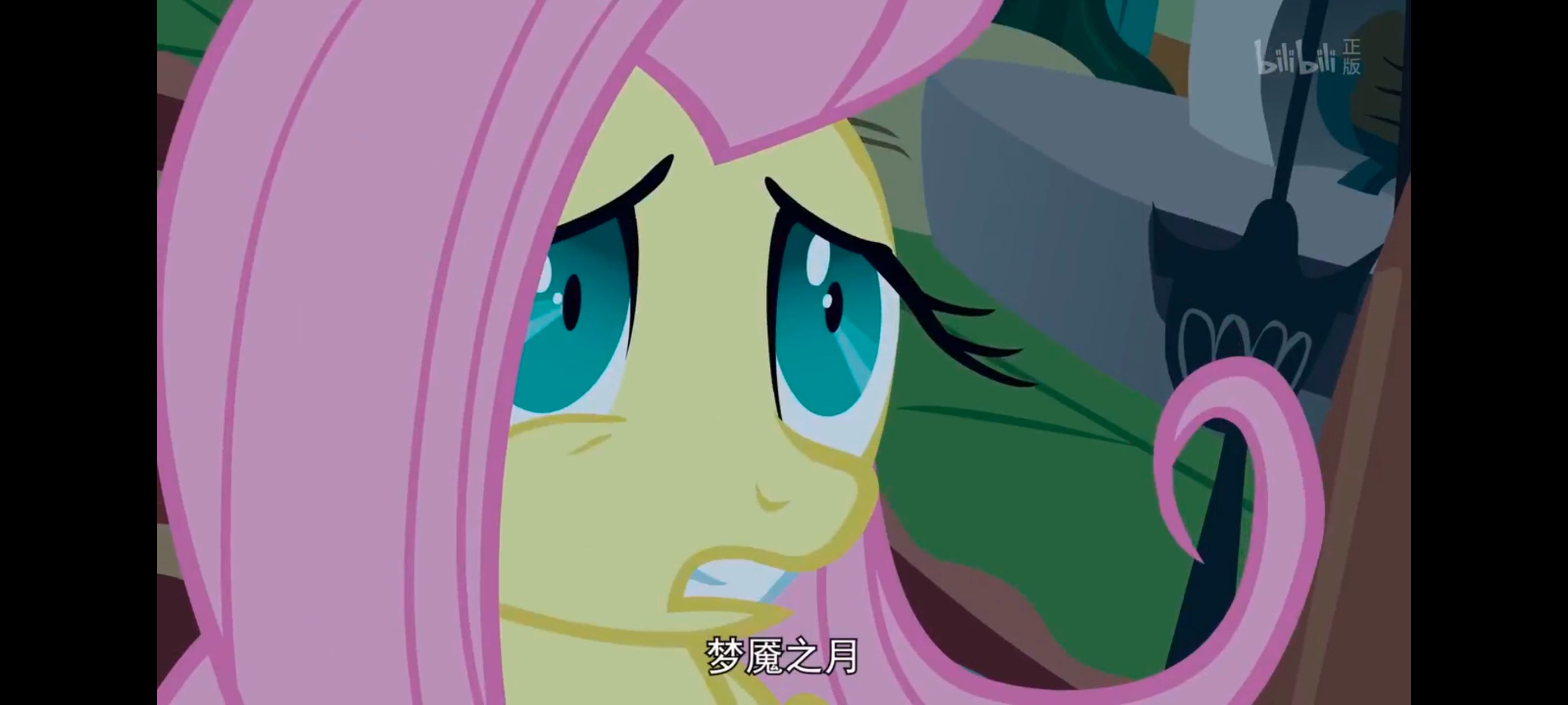 小马宝莉,小马宝莉友谊魔法,彩虹小马,我的小马驹,动漫,动画,番剧,ACG