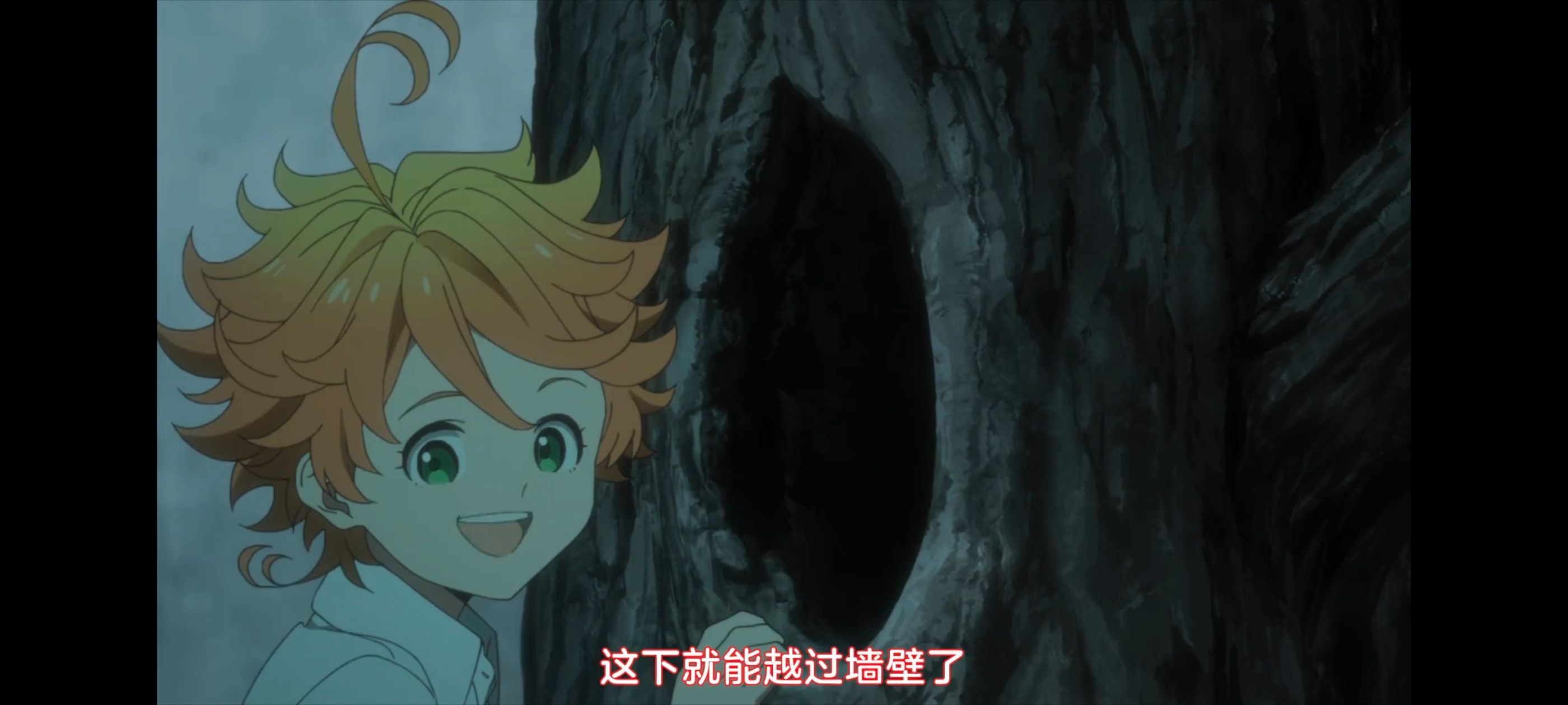 约定的梦幻岛,动画,动漫,番剧,ACG