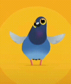 梗图,meme,动图,GIF