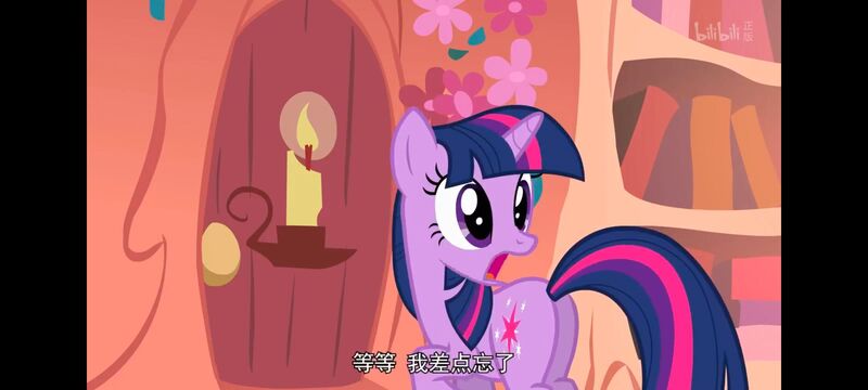 小马宝莉,彩虹小马,我的小马驹,动画,动漫,番剧,ACG,小马宝莉友谊魔法