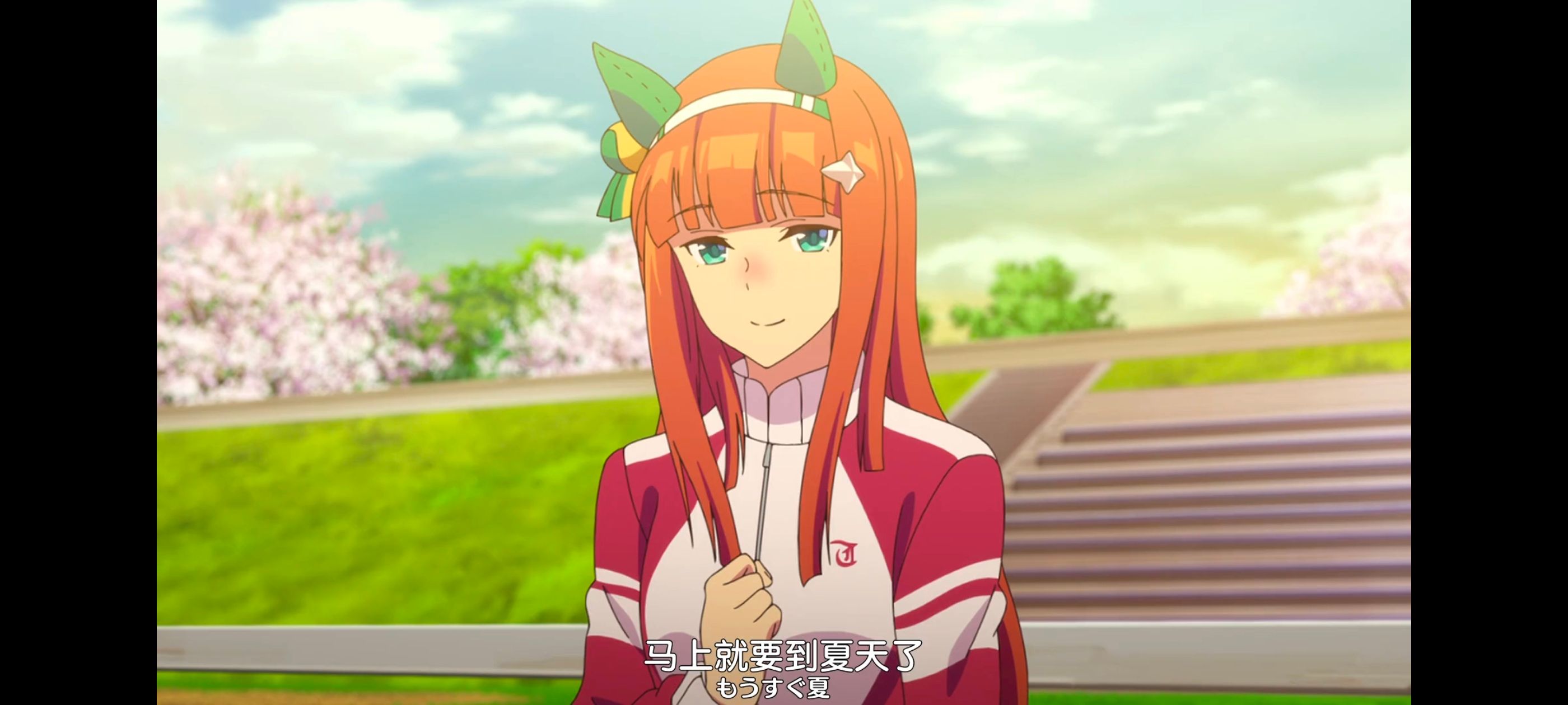 赛马娘,赛马娘PrettyDreby,动画,动漫,番剧,ACG