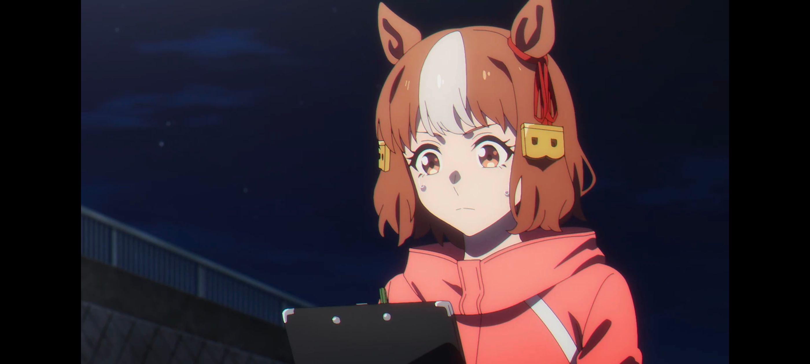 赛马娘,赛马娘PrettyDreby,芦毛灰姑娘,赛马娘芦毛灰姑娘,动画,动漫,番剧,ACG