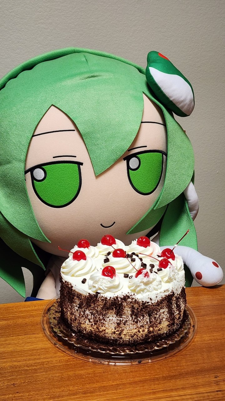 fumo,东方project,3月7号早苗日