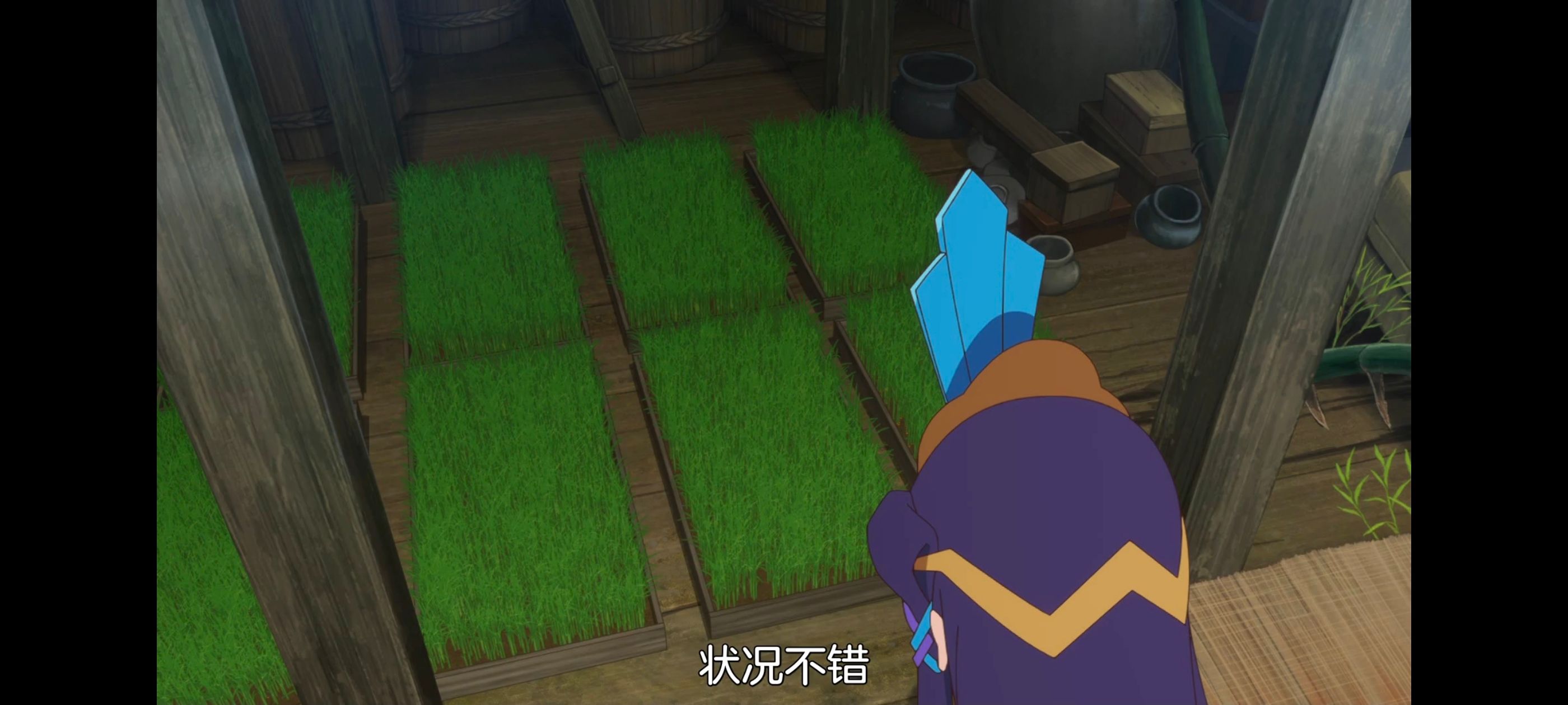 天穗之咲稻姬,心轮的稻作日记,动画,动漫,番剧,二次元,ACG