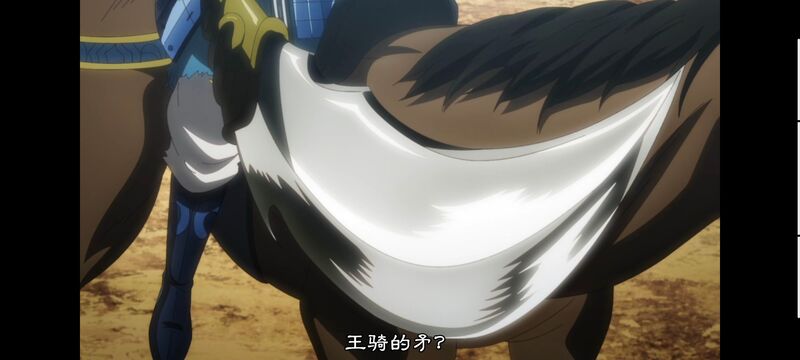 王者天下,动画,动漫,番剧,ACG