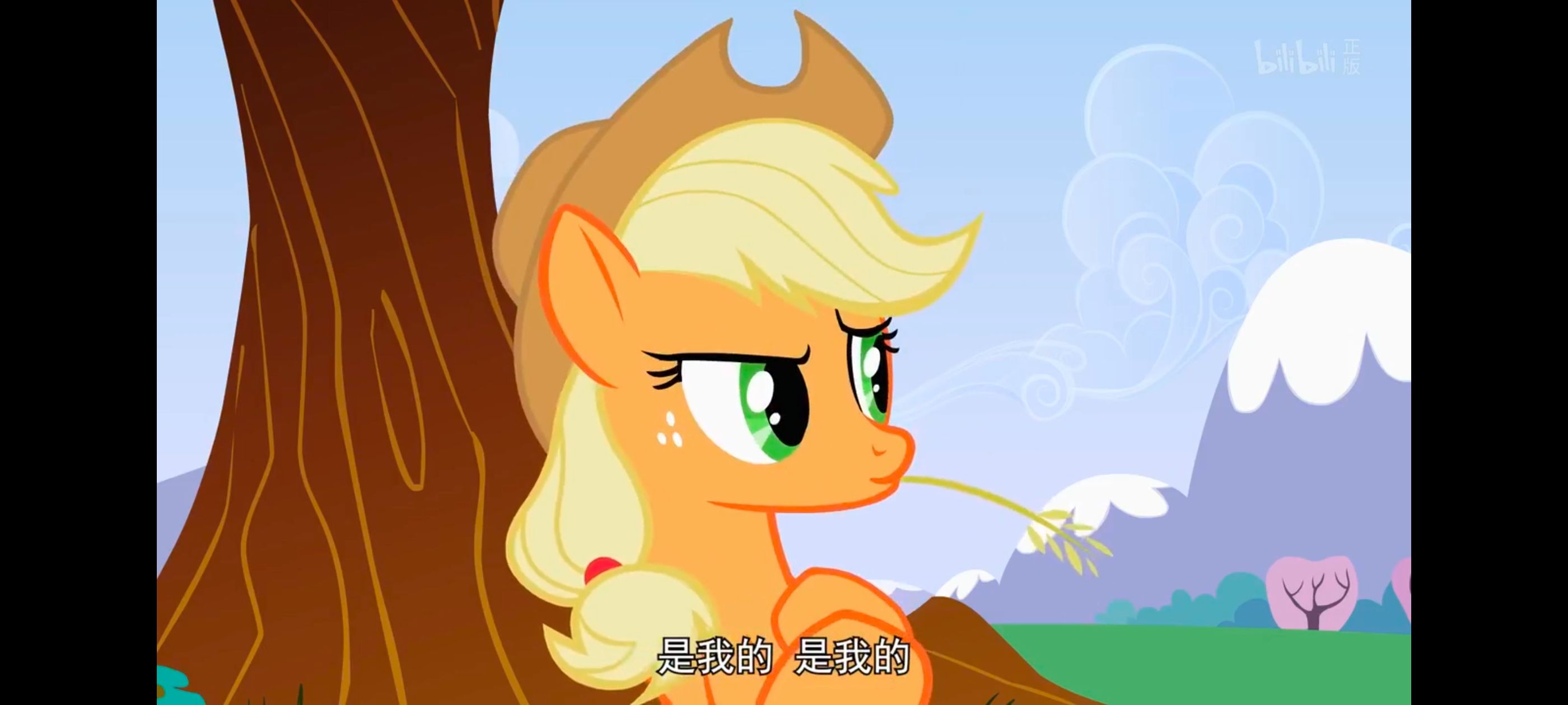 小马宝莉,小马宝莉友谊魔法,彩虹小马,我的小马驹,动画,动漫,番剧,ACG