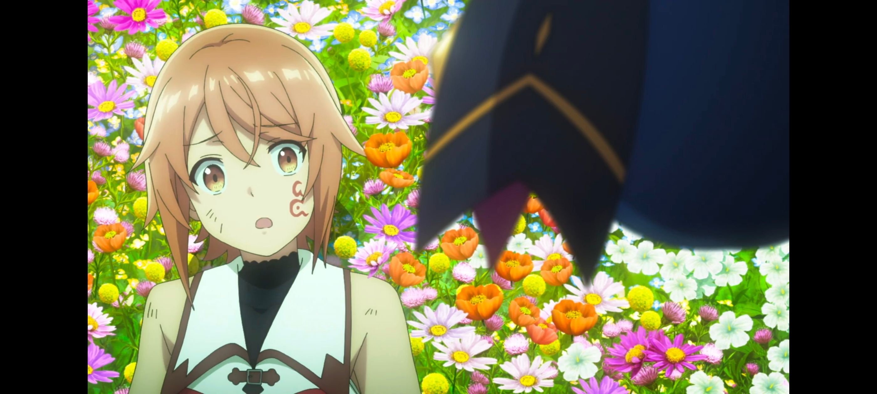 凭你也想讨伐魔王,你这种家伙别想打败魔王,动画,动漫,番剧,ACG