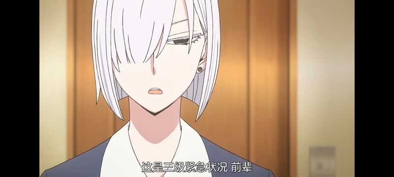 间谍过家家,SPYFAMILY,动画,动漫,番剧,ACG