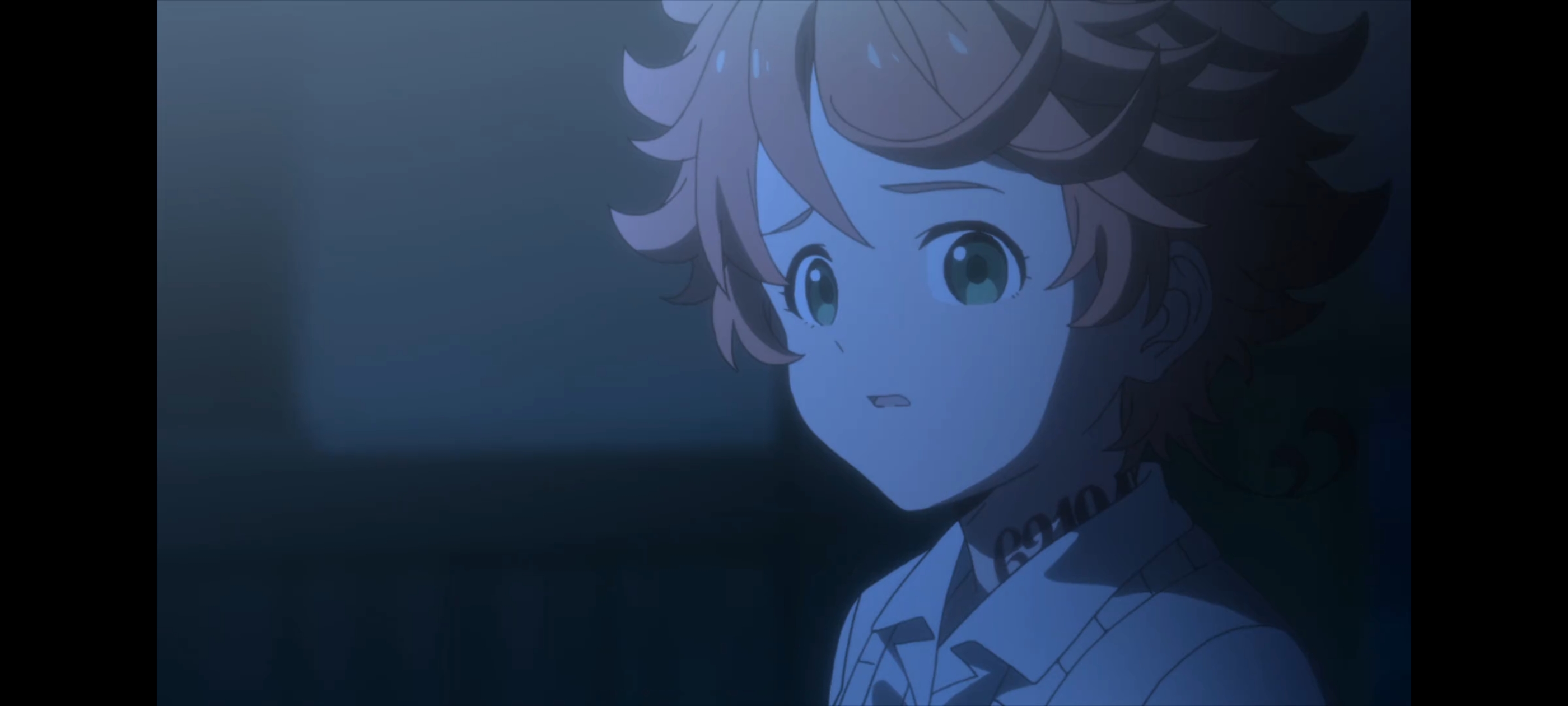 约定的梦幻岛,动画,动漫,番剧,二次元,ACG