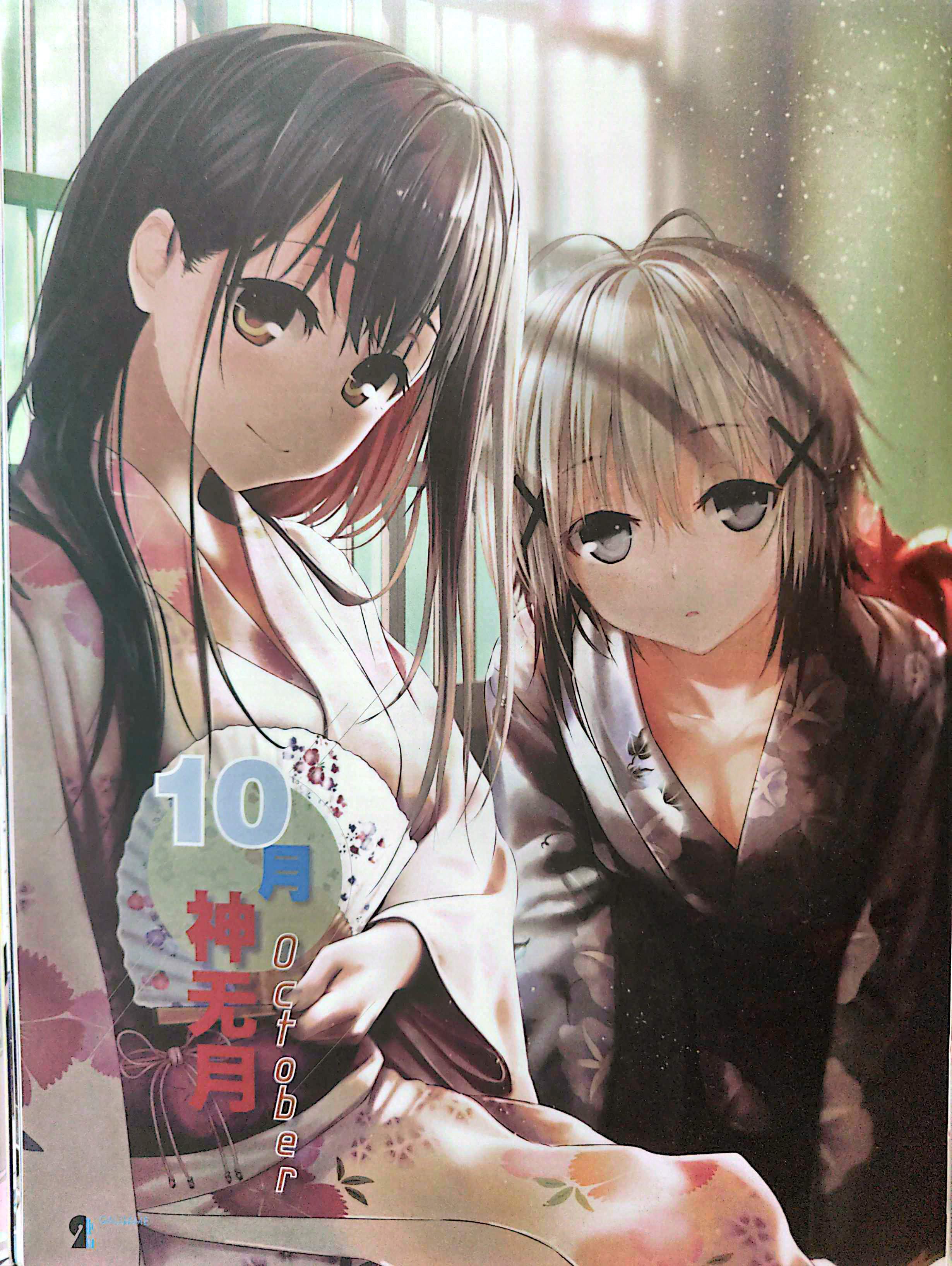 二次元狂热,GALgame,恋爱游戏