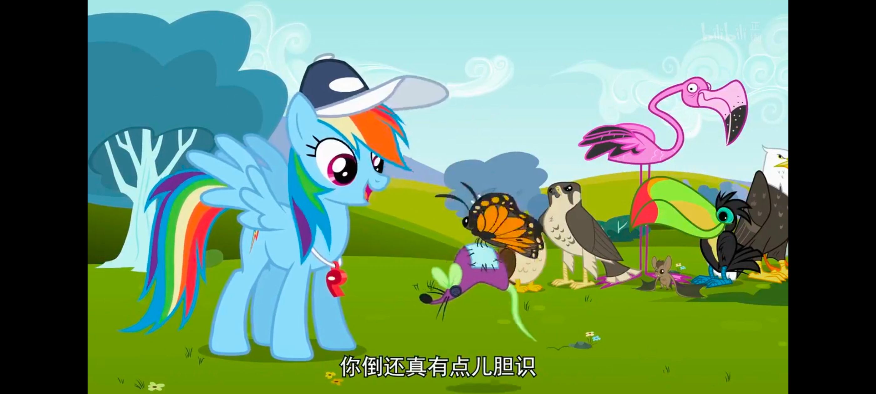 小马宝莉,彩虹小马,我的小马驹,动画,动漫,番剧,二次元,ACG