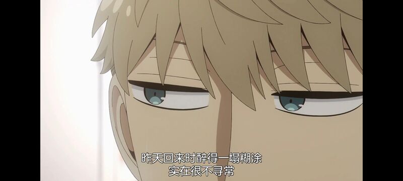 间谍过家家,SPYFAMILY,动画,动漫,番剧,ACG