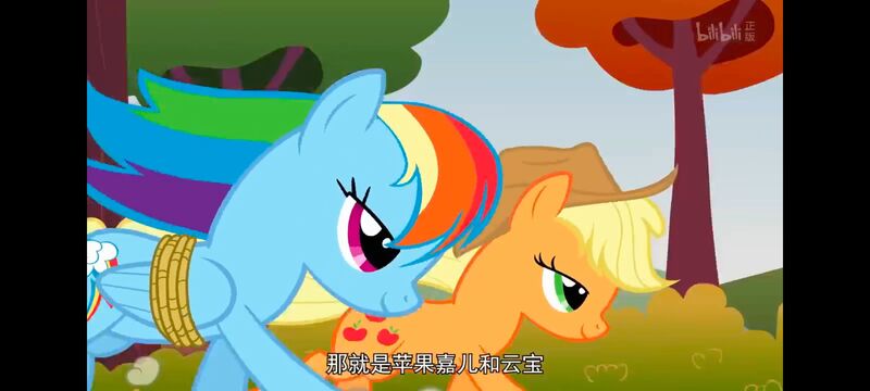 小马宝莉,小马宝莉友谊魔法,彩虹小马,我的小马驹,动画,动漫,番剧,ACG