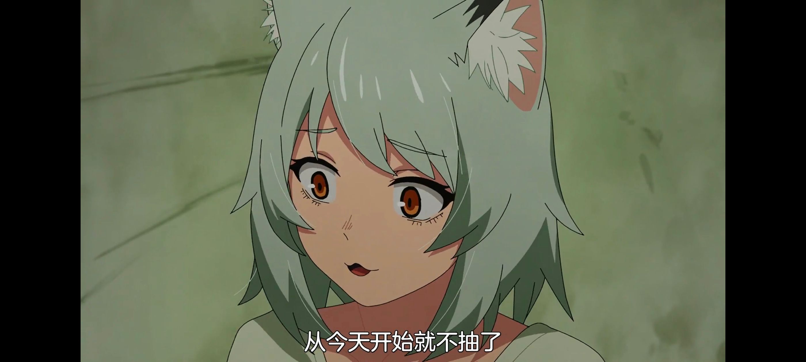 雅尼猫,尼古喵喵,动画,动漫,番剧,日漫,二次元,ACG