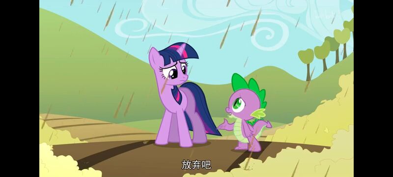 小马宝莉,小马宝莉友谊魔法,彩虹小马,我的小马驹,动画,动漫,番剧,ACG