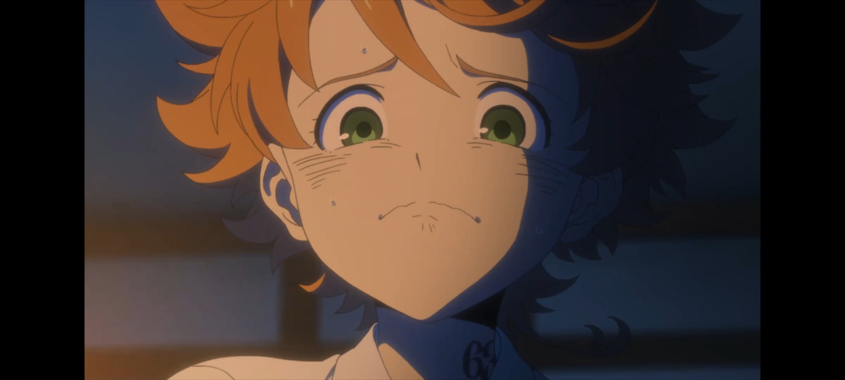 约定的梦幻岛,动画,动漫,番剧,二次元,ACG