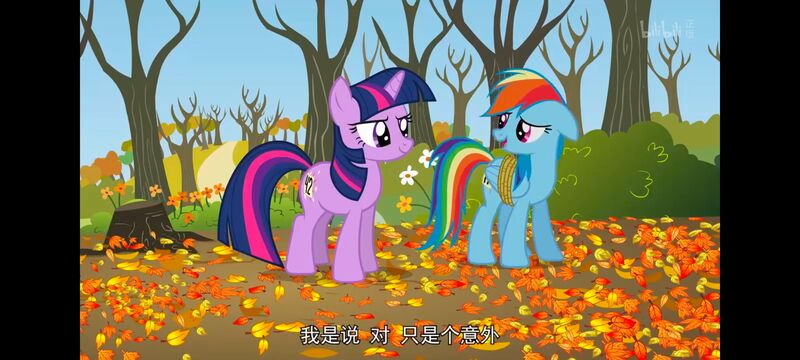小马宝莉,小马宝莉友谊魔法,彩虹小马,我的小马驹,动画,动漫,番剧,ACG