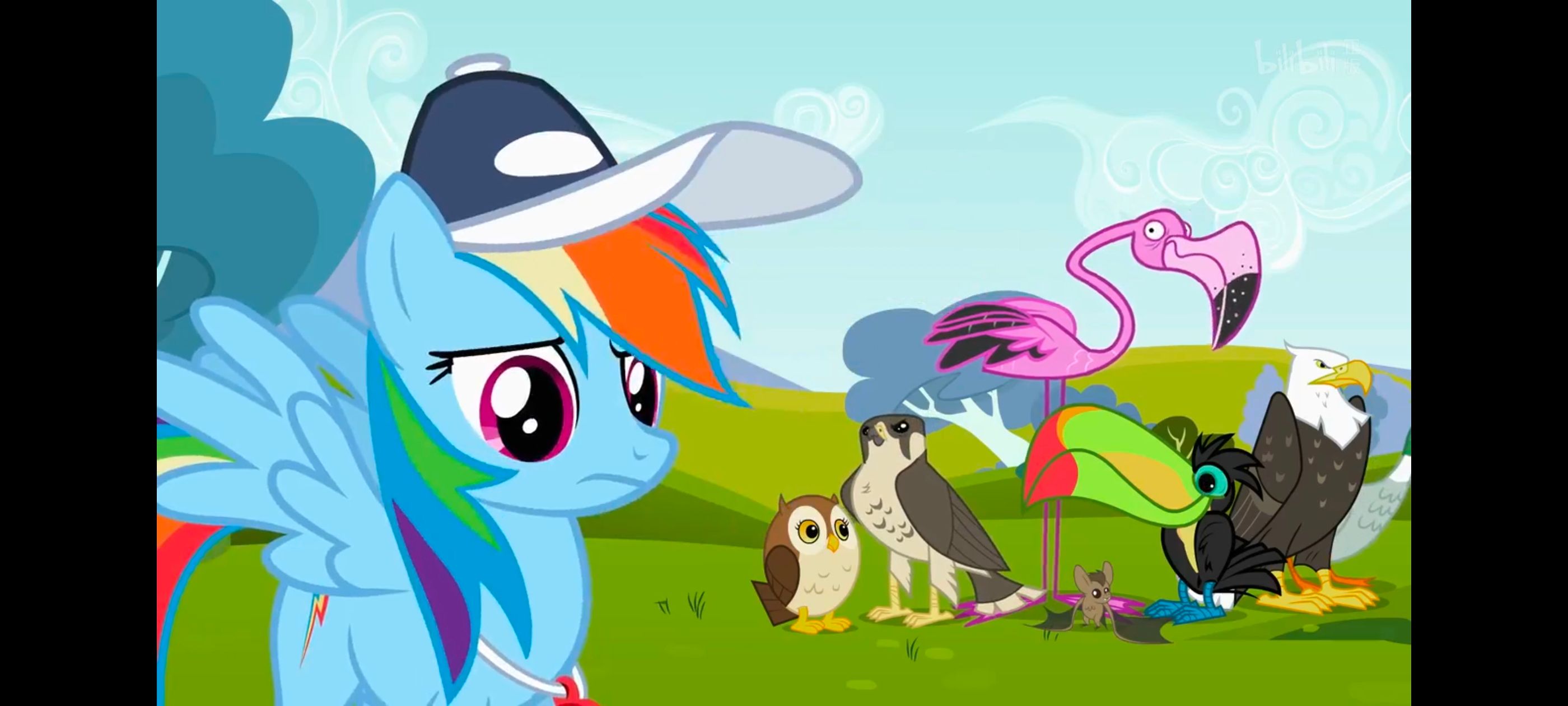 小马宝莉,彩虹小马,我的小马驹,动画,动漫,番剧,二次元,ACG