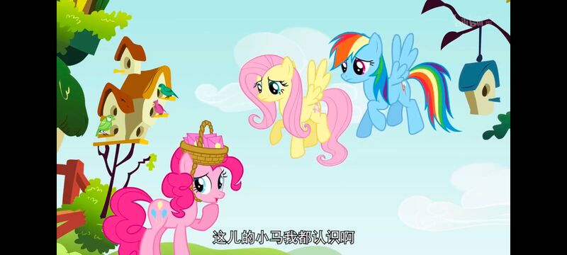 小马宝莉,小马宝莉友谊魔法,彩虹小马,我的小马驹,动画,动漫,番剧,ACG