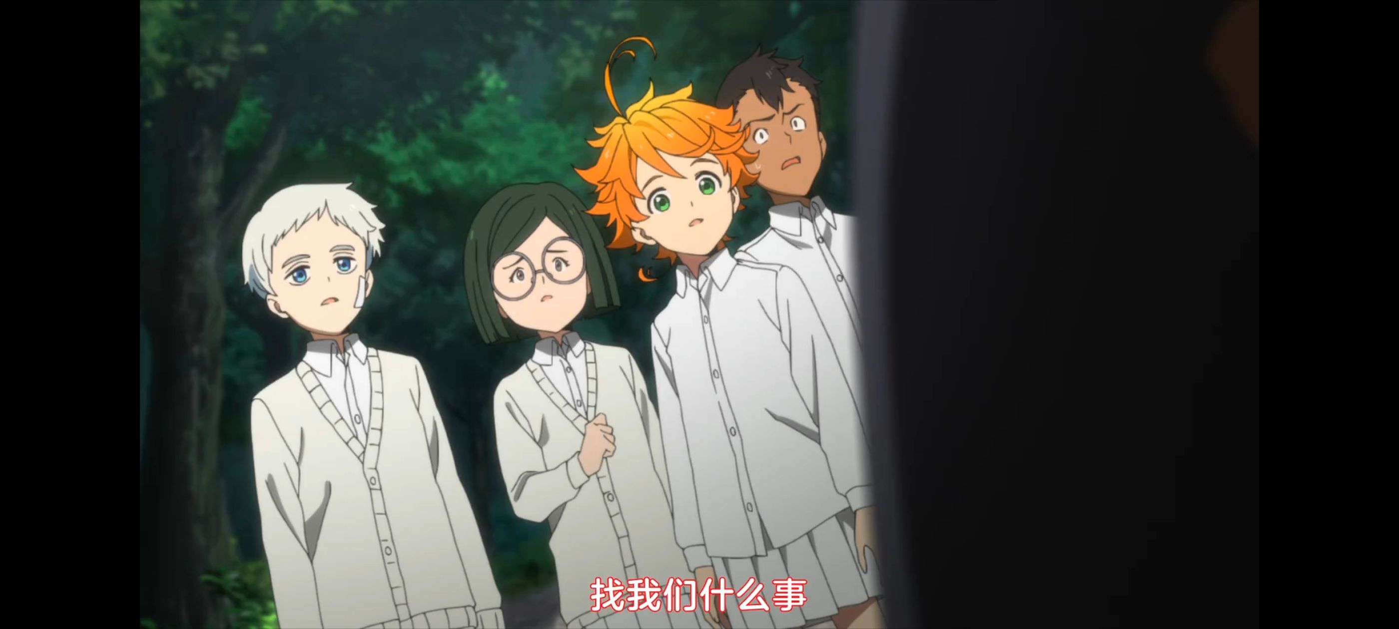 约定的梦幻岛,动画,动漫,番剧,ACG