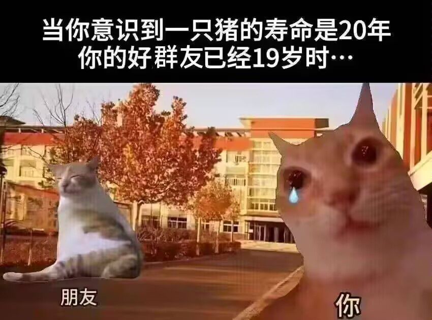 /static/7a99faed261dec2ada838d43e0c57c82fd8eefc8dab1b459cd88a4195d8b05c0.jpg