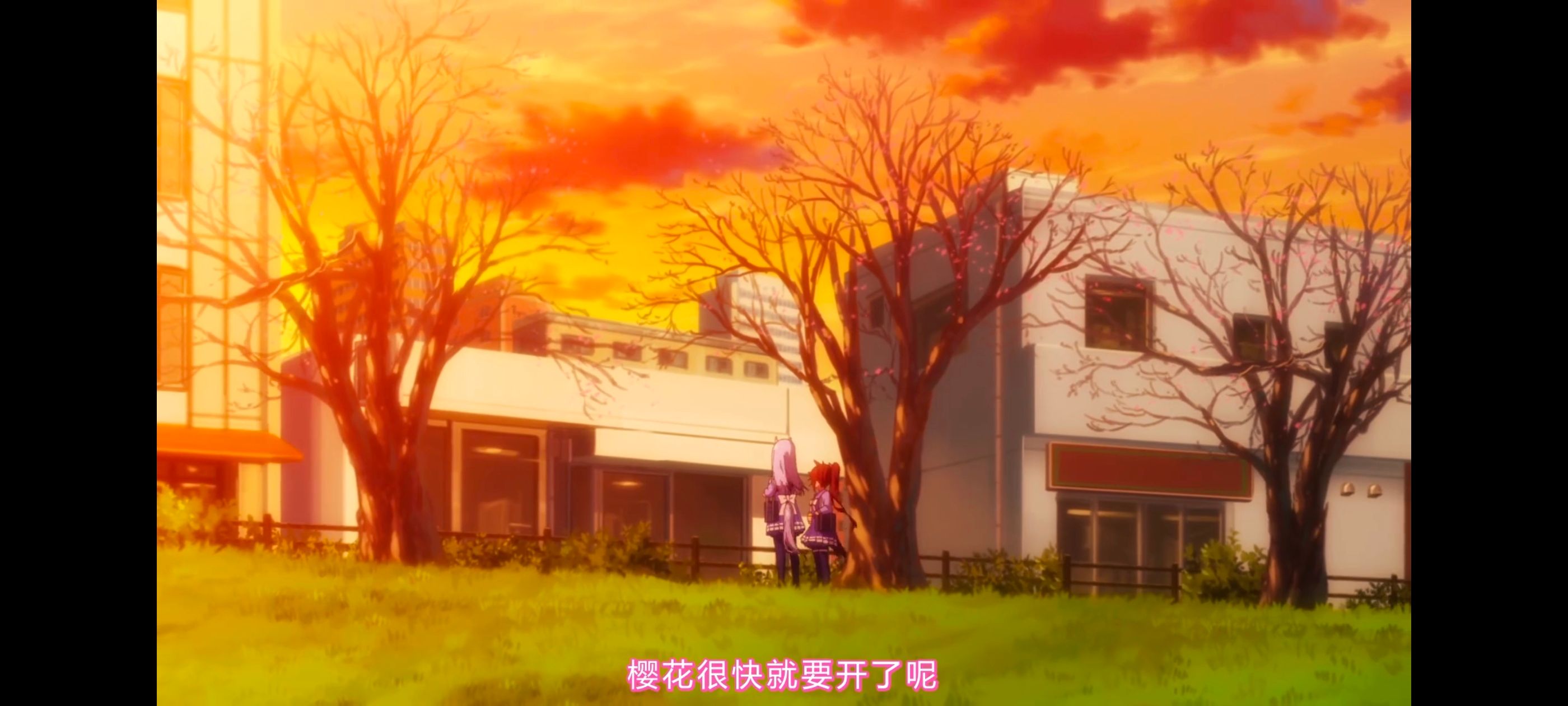 赛马娘,赛马娘PrettyDreby,赛马娘第二季,动画,动漫,番剧,ACG