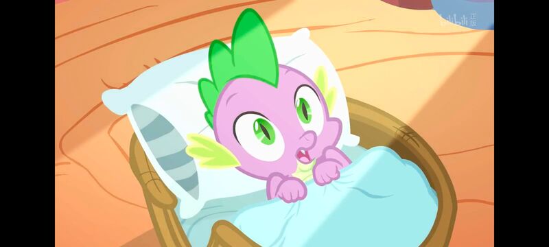 小马宝莉,彩虹小马,我的小马驹,动画,动漫,番剧,ACG,小马宝莉友谊魔法