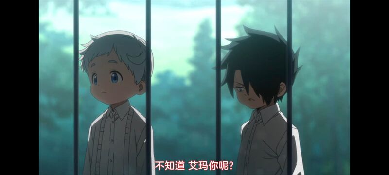 约定的梦幻岛,动画,动漫,番剧,ACG