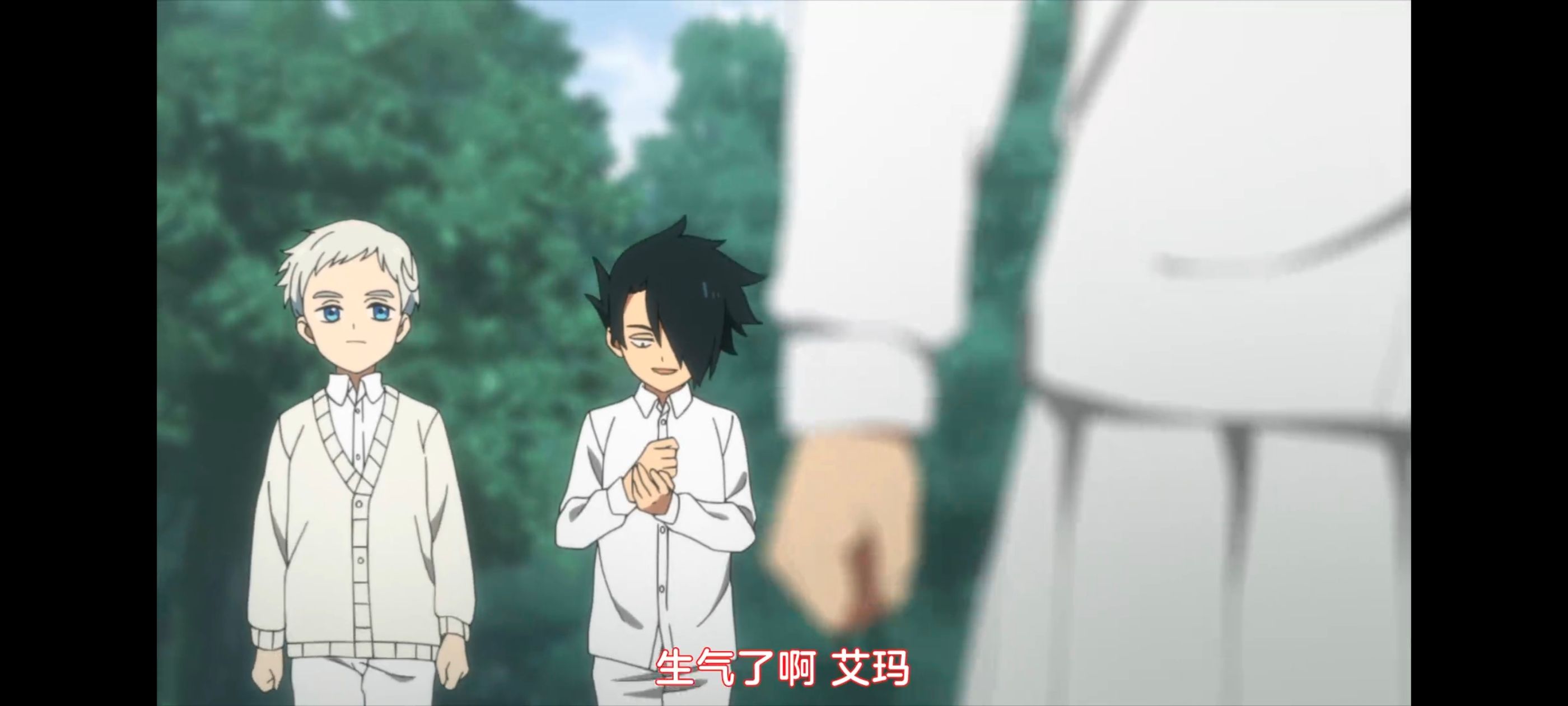 约定的梦幻岛,动画,动漫,番剧,ACG