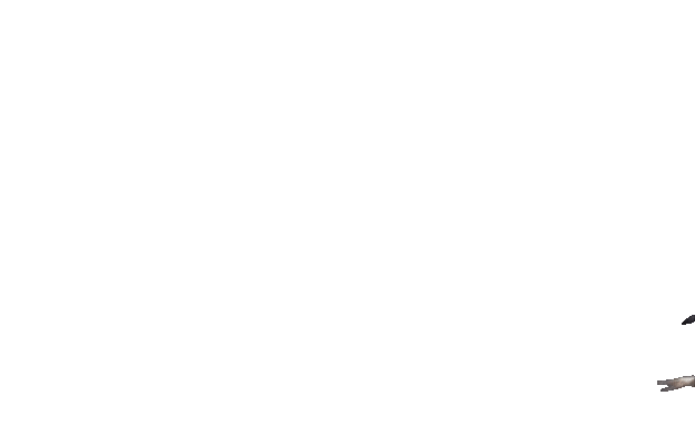动图,GIF,meme