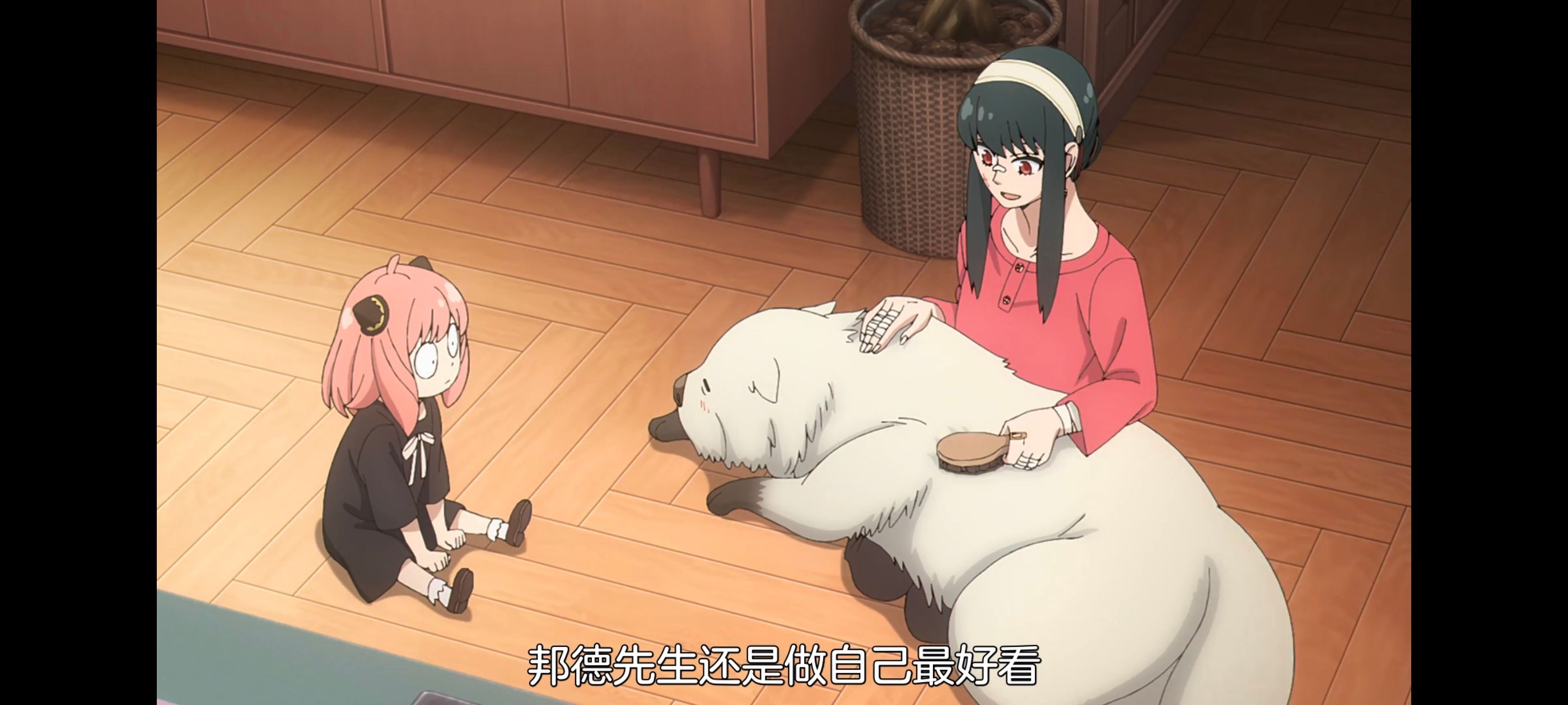 间谍过家家,SPYFAMILY,动画,动漫,番剧,ACG