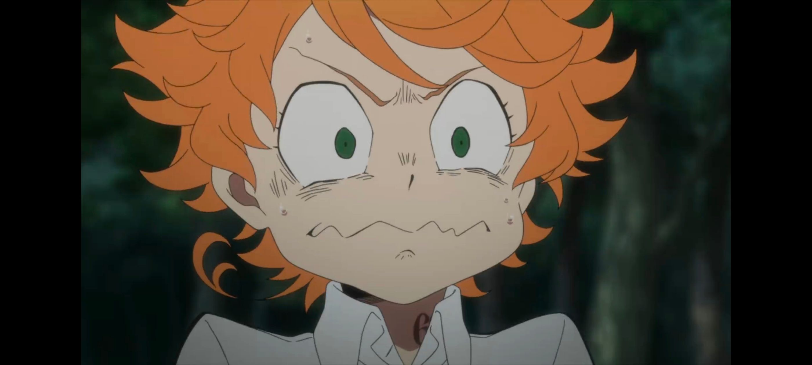 约定的梦幻岛,动画,动漫,番剧,ACG