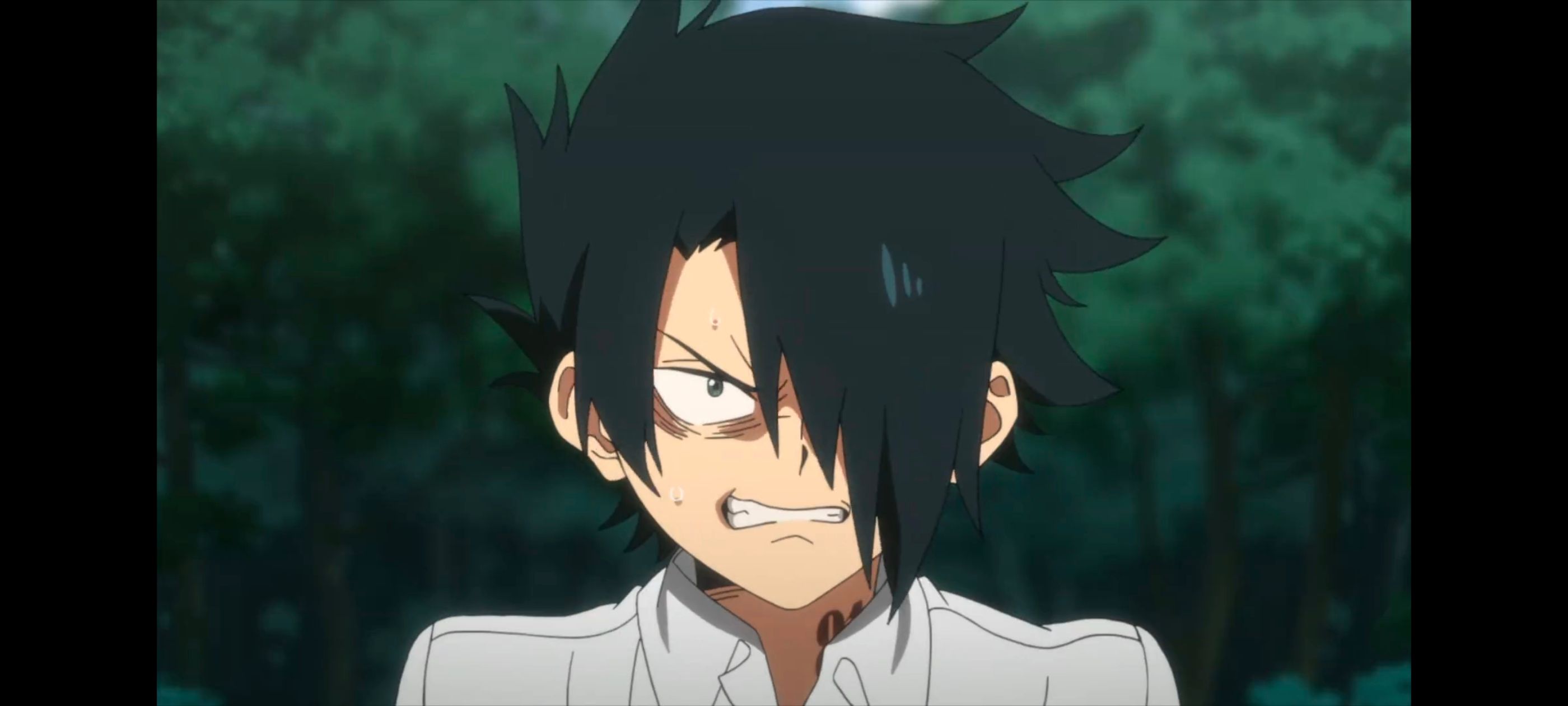 约定的梦幻岛,动画,动漫,番剧,二次元,ACG