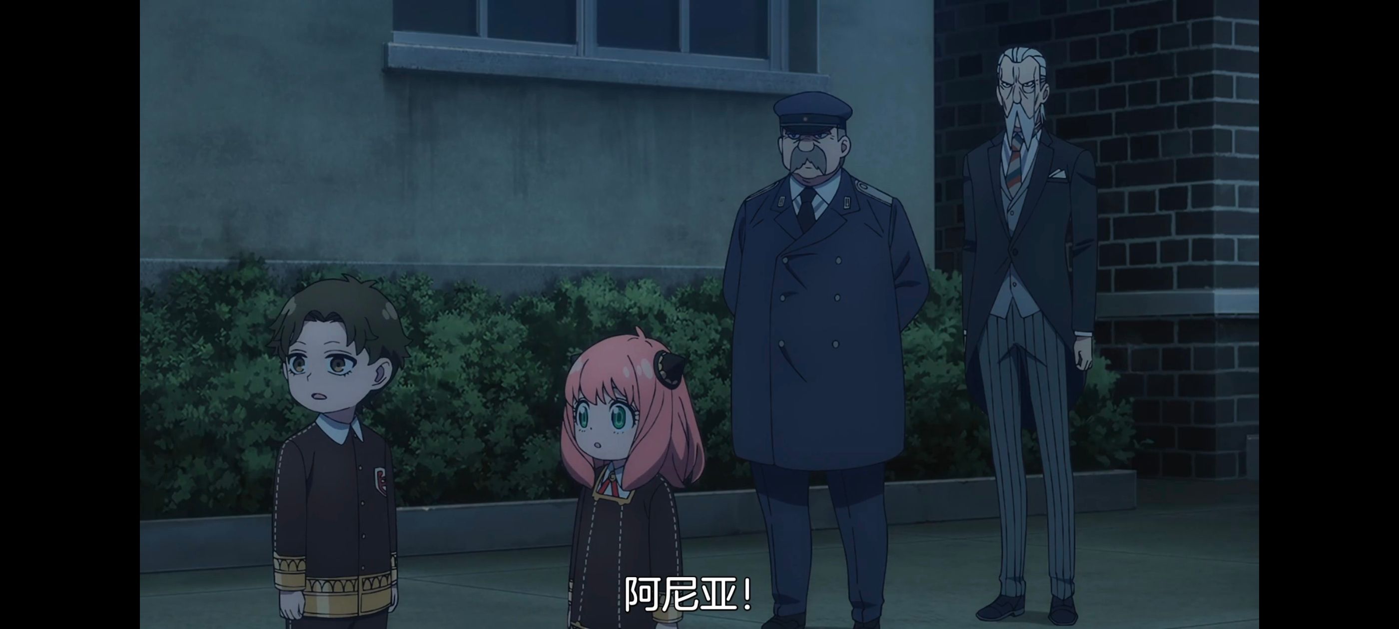 间谍过家家,SPYFAMILY,动画,动漫,番剧,ACG