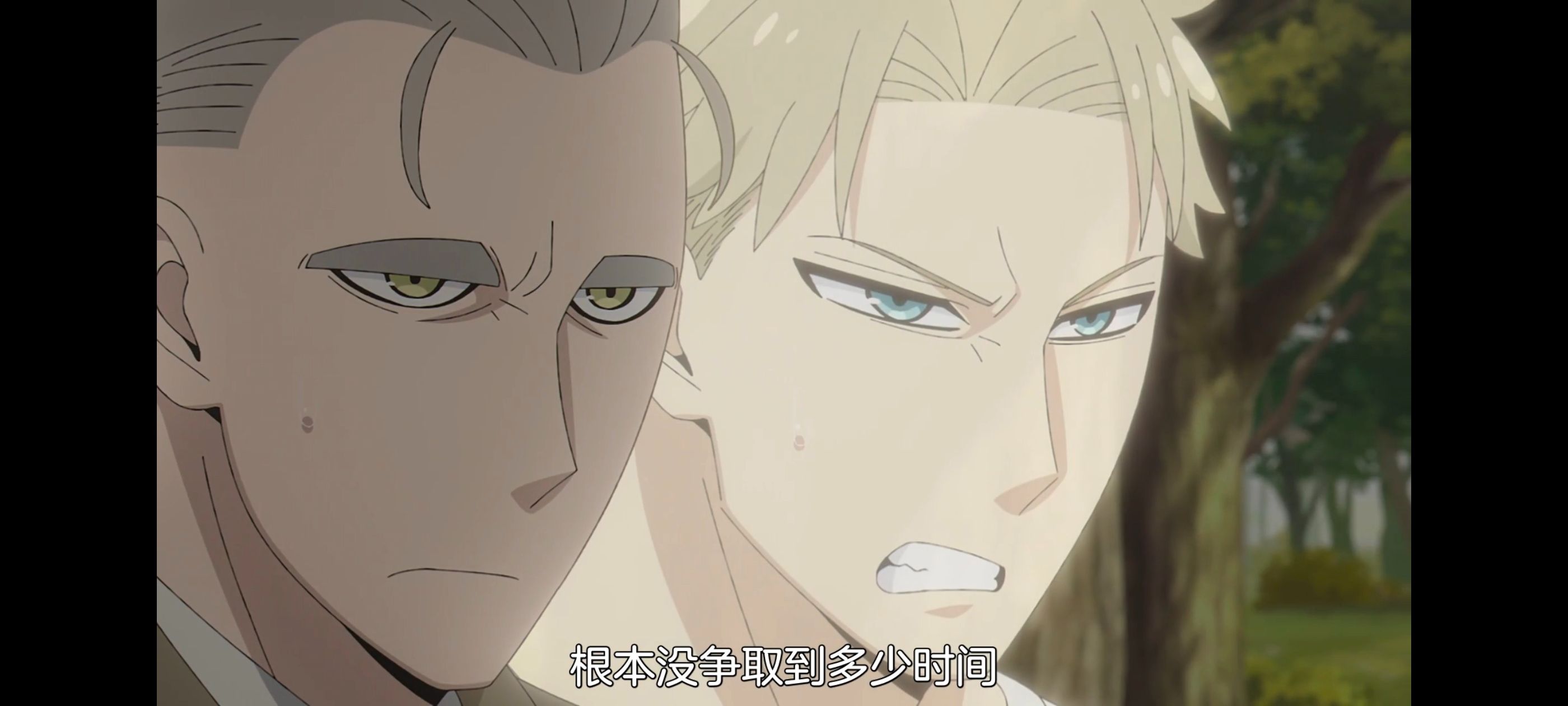 间谍过家家,SPYFAMILY,动画,动漫,番剧,ACG