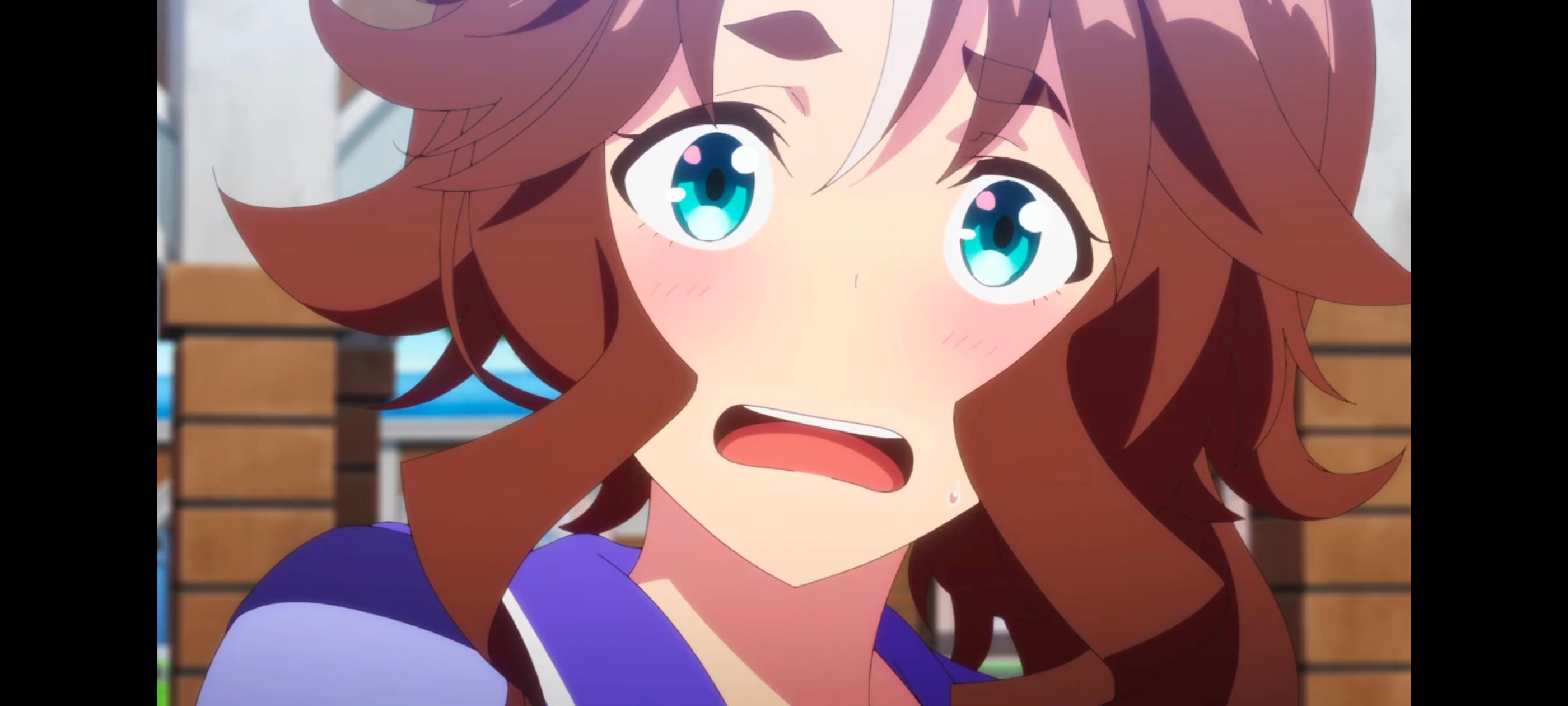 赛马娘,赛马娘PrettyDreby,赛马娘第二季,动画,动漫,番剧,ACG