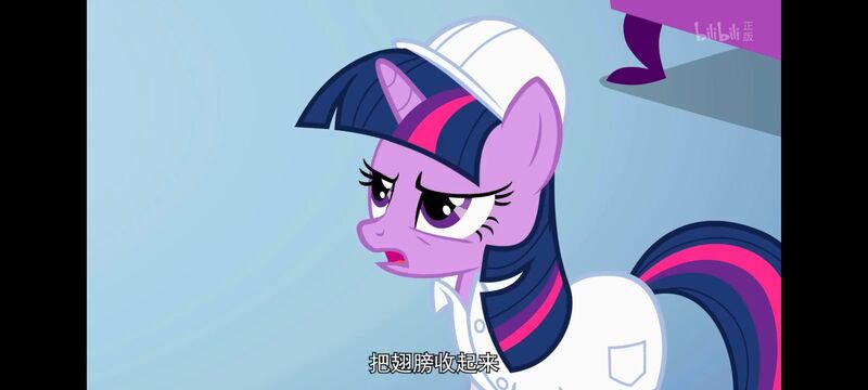 小马宝莉,小马宝莉友谊魔法,彩虹小马,我的小马驹,动画,动漫,番剧,ACG