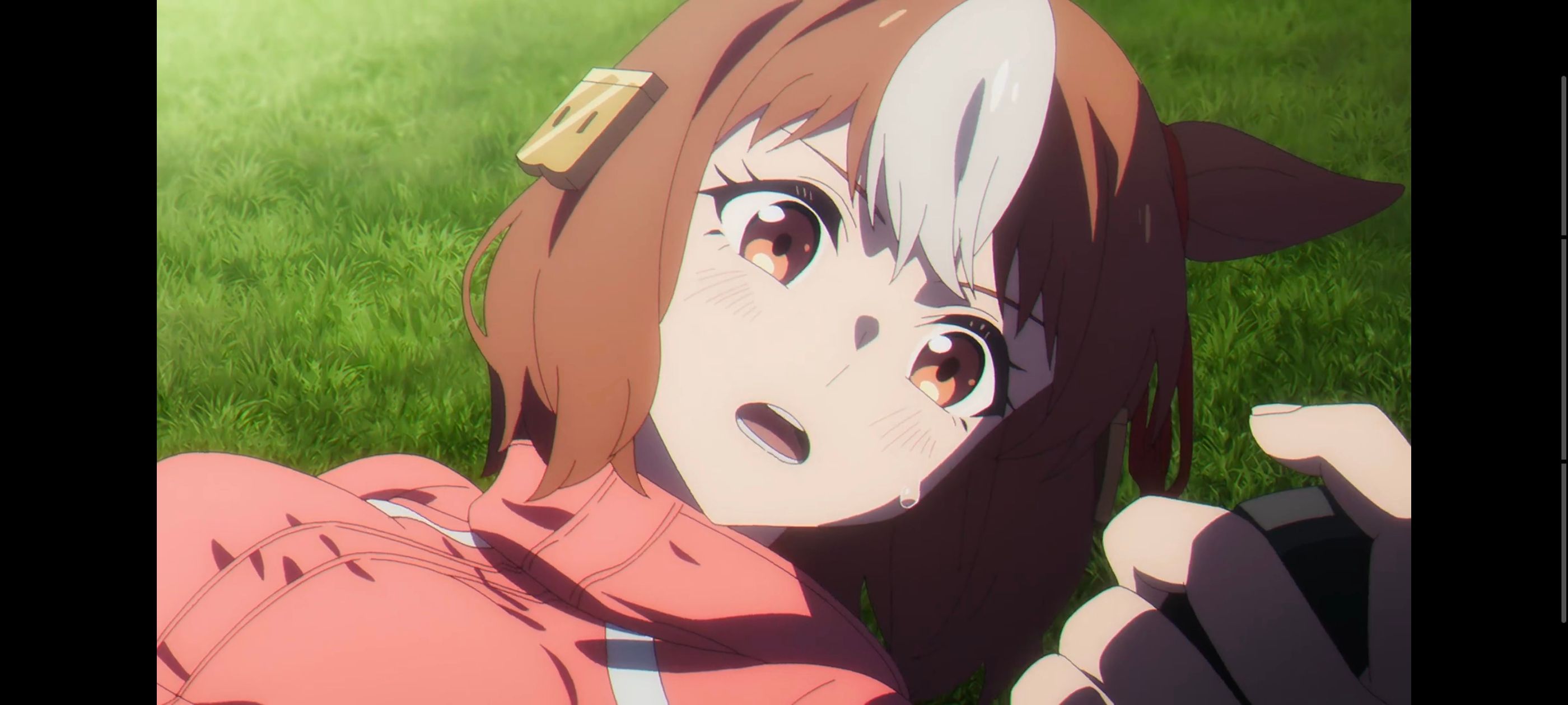 赛马娘,赛马娘PrettyDreby,芦毛灰姑娘,赛马娘芦毛灰姑娘,动画,动漫,番剧,ACG