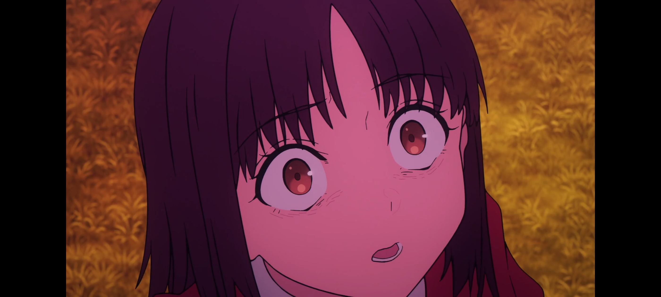 FATE,命运奇异赝品,FatestrangeFake,动画,动漫,番剧,二次元,ACG