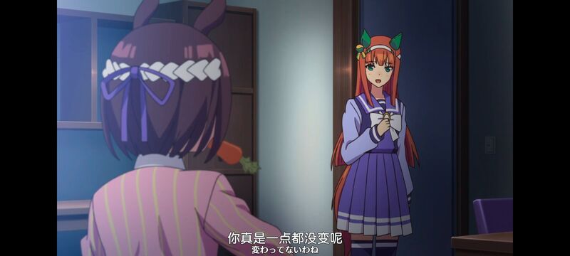 赛马娘,赛马娘PrettyDreby,动画,动漫,番剧,ACG