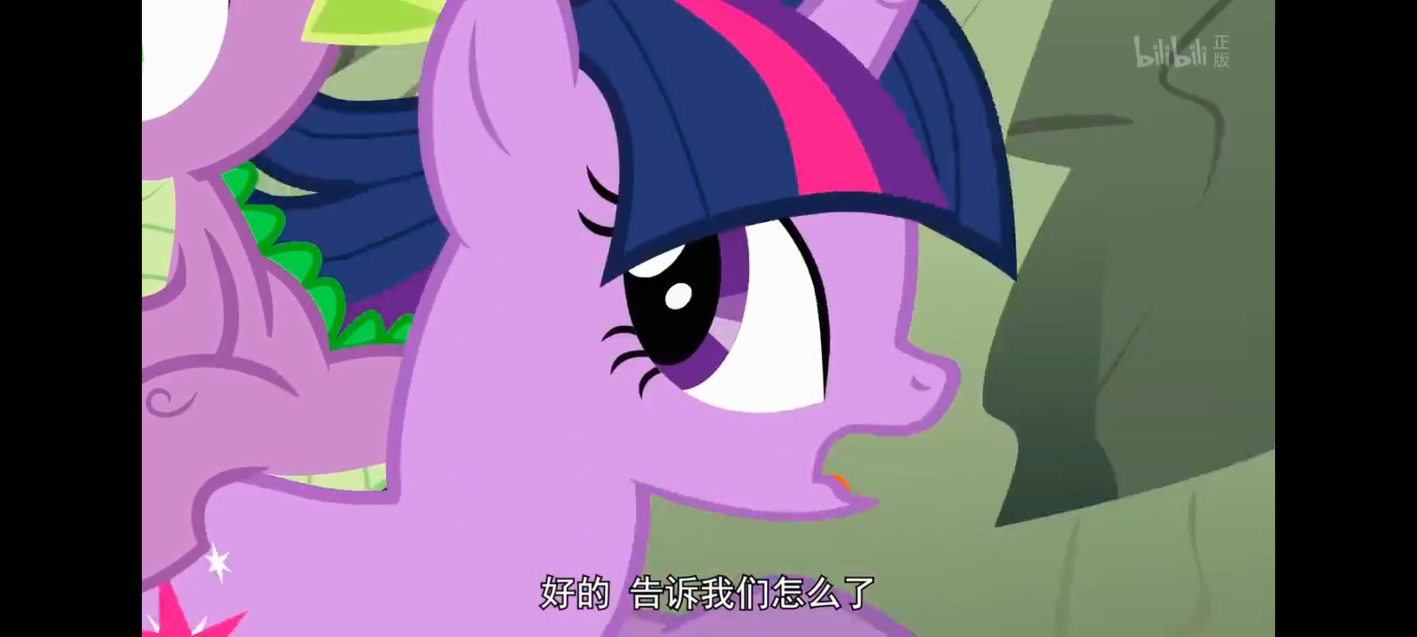 彩虹小马,小马宝莉,我的小马驹,小马宝莉友谊魔法,动画,动漫,番剧,ACG