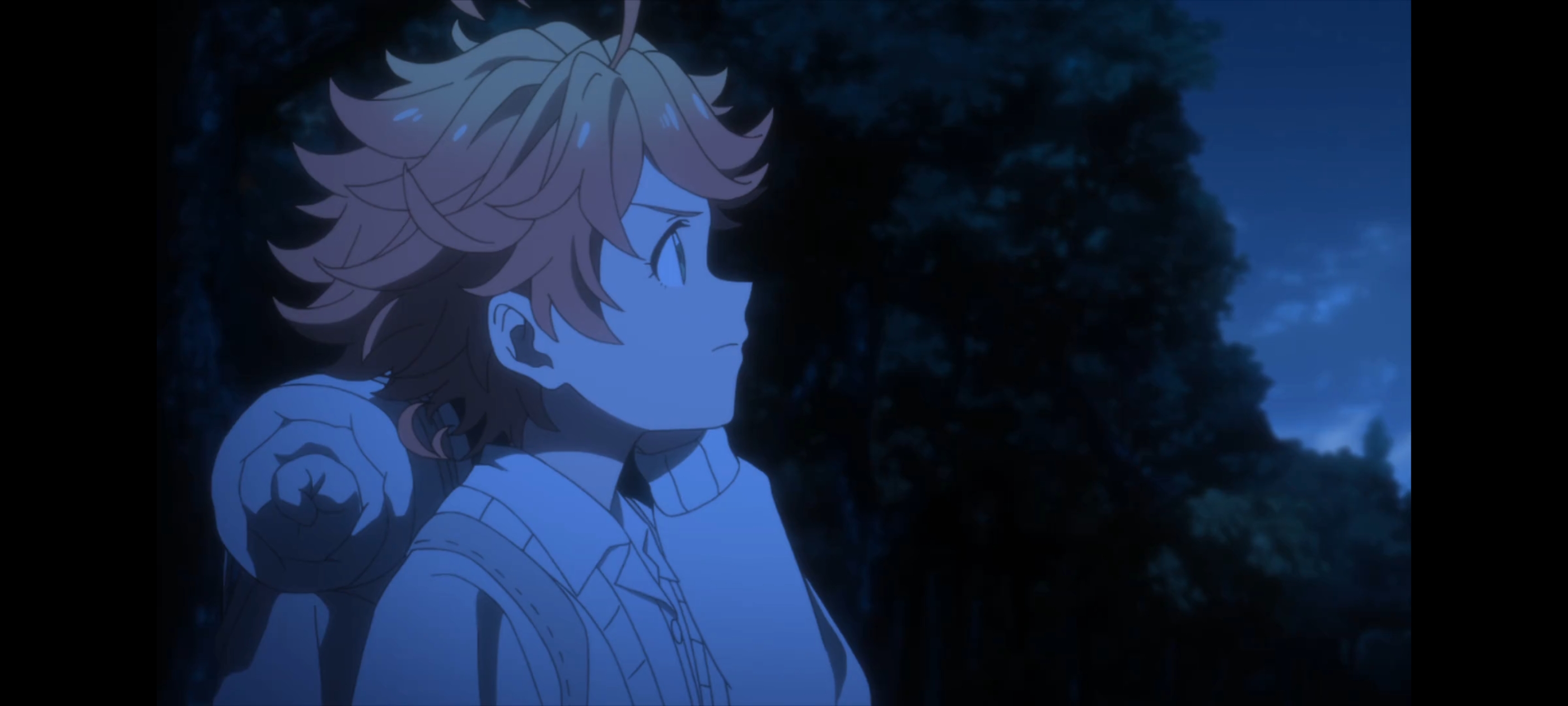 约定的梦幻岛,动画,动漫,番剧,二次元,ACG